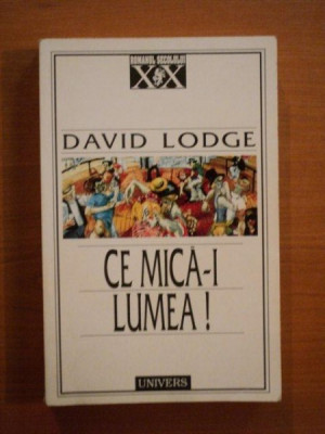 CE MICA - I LUMEA de DAVID LODGE foto