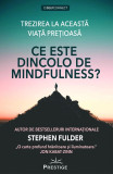 Ce este dincolo de Mindfulness? | Stephen Fulder, Prestige