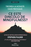 Ce este dincolo de Mindfulness? | Stephen Fulder, Prestige