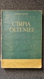 CAMPIA OLTENIEI - Petre Cotet
