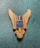 Insigna Scoala de Aviatie Militara Aurel Vlaicu