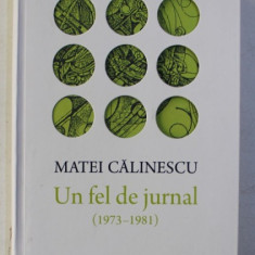 UN FEL DE JURNAL 1973 - 1981 de MATEI CALINESCU , 2016