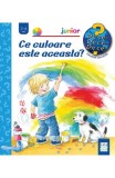Ce culoare este aceasta? - Doris Rubel - Editura Casa