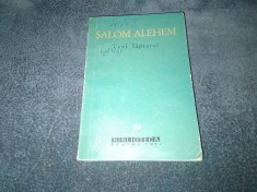 SALOM ALEHEM - TEVI LAPTARUL