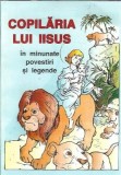 Cumpara ieftin Copilaria lui Iisus in minunate povestiri si legende