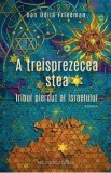 A treisprezecea stea. Tribul pierdut al Israelului - Dan Udila Friedman