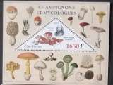 Ciuperci - Coasta de Fildeș 2012 - Coliță Triunghiulară Champignons et Mycologues CP1_II