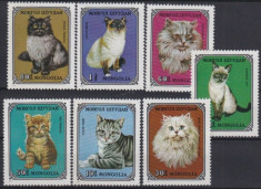 Mongolia 1979 - Pisici, serie neuzata foto