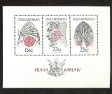 Cehoslovacia 1998 - Praga in timpul &Icirc;mpăratului Karl IV, colita neuzata