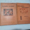 LOT 2 CARTI.BASMUL ODISSEEI SI BASMUL ILIADEI-GH.ANDREESCU-1034 R1.
