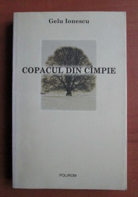 Gelu Ionescu - Copacul din campie foto