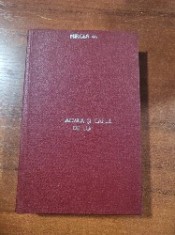 Acvila si capul de lup de Mircea Duduleanu