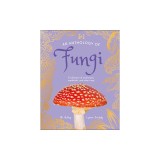 An Anthology of Fungi: A Collection of Mushrooms, Toadstools and Other Fungi
