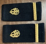 C2 13 - Grade militare - sublocotenent chimie militara - semne arma metalice aurii - piesa de colectie!