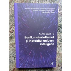 Banii, materialismul si inefabilul univers inteligent - Alan Watts