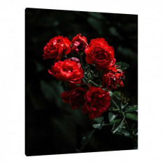 Tablou Canvas, Tablofy, Red Roses, Printat Digital, 40 ? 50 cm foto