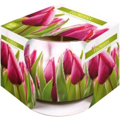 Lumanare Parfumata Aura Flowers, Parfum de Lalele, Lumanare Pahar de Sticla, Lumanare Aura, Lumanare Pahar de Sticla Aura, Lumanare Aromatica, Lumanar foto