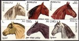 1970 - Cai, serie neuzata