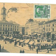 5164 - Cernauti, Bucovina, Market - old postcard - used - 1909 - TCV