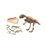 Joc educativ de arheologie, descopera fosilele unui dinozaur si asambleaza-l, Oem