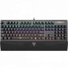 Tastatura Gamdias Hermes M1 , Gaming , Mecanica , Iluminare LED