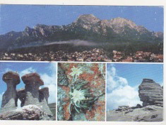 bnk cp Muntii Bucegi - Vedere - uzata