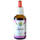 Salvia Paradise Lapacho alcohol-free tincture tinctură fără alcool pentru piele iritata 50 ml
