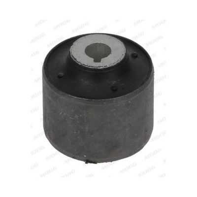 Moog suport, trapez foto