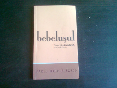 BEBELUSUL - MARIE DARRIEUSSECQ foto