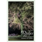 Egy teljes &eacute;v - Besz&eacute;lget&eacute;sek N&aacute;das P&eacute;terrel - K&aacute;rolyi Csaba