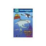 Wild Sea Creatures: Sharks, Whales, and Dolphins!