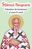 Sf&acirc;ntul Pangratie - Aducător de bunăstare&nbsp;și pace &icirc;n casă - Paperback brosat - *** - Ortodoxia