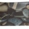Platou ceramic Apolo-5, 30x17 cm