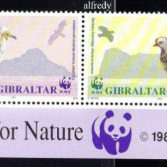 GIBRALTAR 1991, Fauna, Pasari, WWF, serie neuzata, MNH