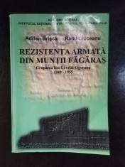 Adrian Brisca, Radu Ciuceanu - Rezistenta Armata din Muntii Fagaras foto