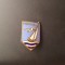 Insigna Mamaia P.M.S. Arad