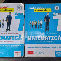 MATEMATICA ALGEBRA GEOMETRIE CLASA A VII A PARTEA 1 SI 2 ANTON NEGRILA