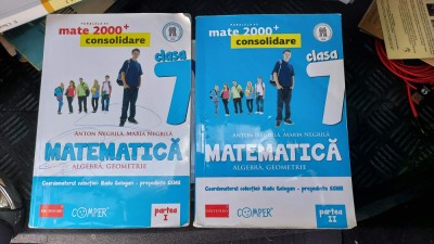 MATEMATICA ALGEBRA GEOMETRIE CLASA A VII A PARTEA 1 SI 2 ANTON NEGRILA foto