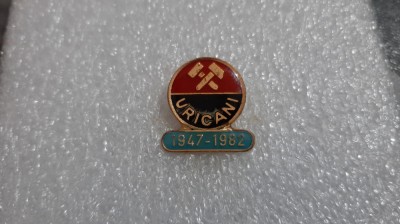 Insigna aniv. IM Uricani foto