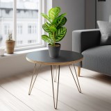 Planta artificiala frunze zebra decorativa 34 cm, verde, in ghiveci, decor casa birou
