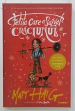 FETITA CARE A SALVAT CRACIUNUL de MATT HAIG , ilustratii de CHRIS MOULD , 2025, EDITIE BROSATA