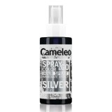 Spray colorant pentru par nuanta Silver Spray &amp; Go, 150ml, Delia Cosmetics
