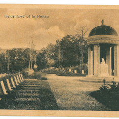 4793 - CISNADIE, Sibiu, Romania - old postcard - unused - 1919