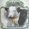 Vinil Brabec &ndash; Country Music (VG)