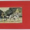 TRASURA CU CAI ALBI , DESEN , CARTE POSTALA ILUSTRATA , EMBOSATA , 1908