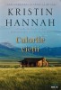 Culorile Vietii - Kristin Hannah - Editura Litera, 2020, 399 pagini, Coperta Brosata, Blue Moon, Romana