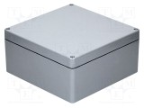 Carcasă universală RAYCHEM RPG 250mm x 255mm x 120mm poliester gri