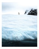 Tablou Canvas, "Un pinguin pe ghețarul &icirc;nghețat", Pinguin, Zapadă, Gheață, Munte, Nor, Ocean, Antarctica, Solitudine., 26 x 39 cm, CMCLASS