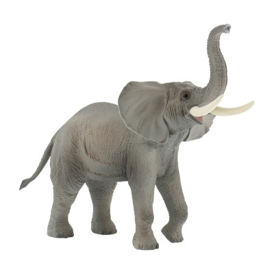 Elefant African foto