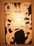 CITITORUL DIN PESTERA de RUI ZINK , 2013